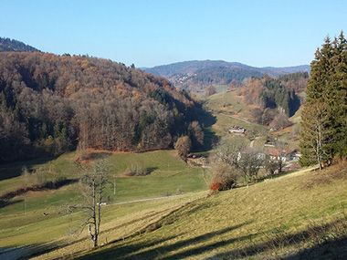 Kleines Wiesental - Hubertusweg