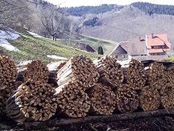 Holzbiege im Schwarzwald