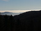 Blick vom Köhlgarten Richtung Alpen