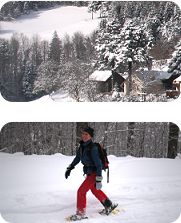 Schneeschuhwanderung im KLeinen Wiesental